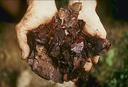 compost